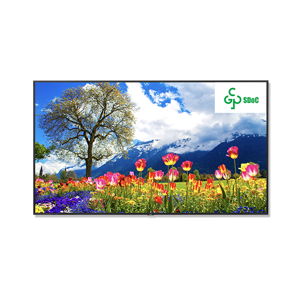 M981 - 夏普NEC专业显示