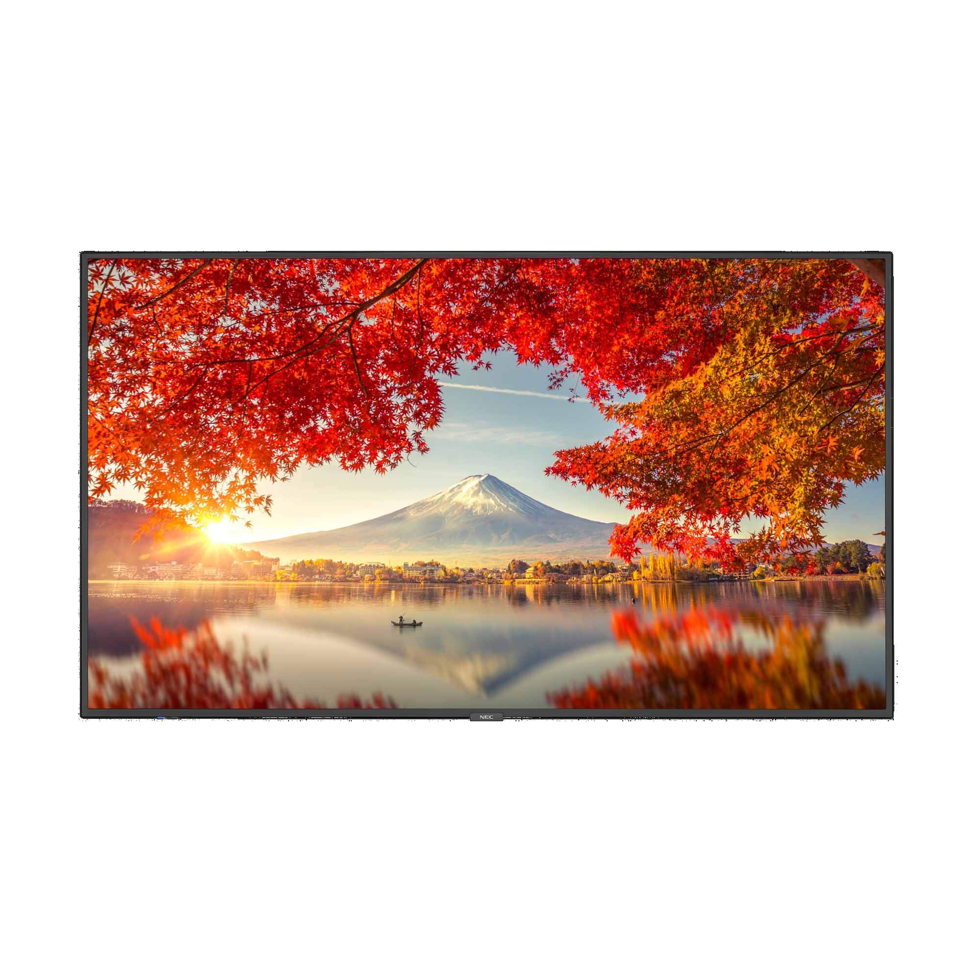 P555 - 夏普NEC专业显示